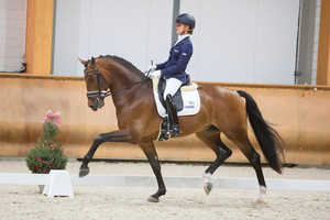 Paardenvoer van wereldklasse