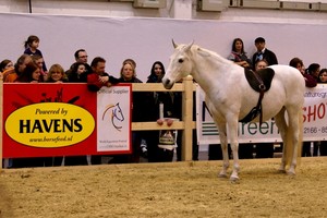 Paardenvoer van wereldklasse
