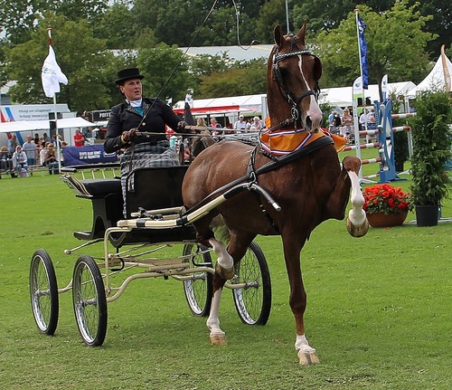 FANTIJN: nederlands Kampioen ereklasse 2019