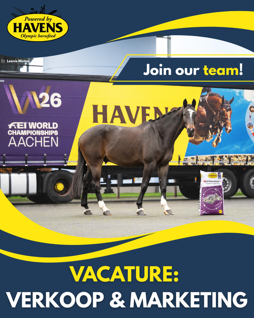 Vacature: Verkoop & Marketing