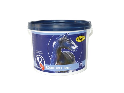 Mijn paard heeft bloedarmoede, heeft het dan ijzer nodig?