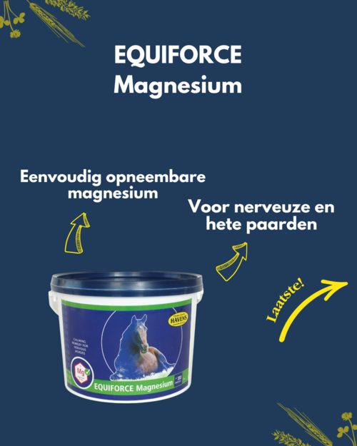 Kan mijn paard een tekort aan magnesium hebben?