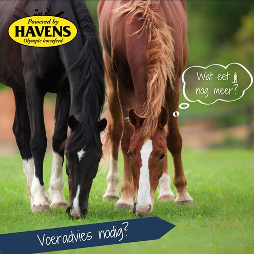 Advies, veelgestelde vragen en voertips